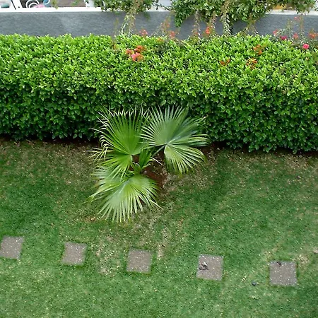 Отель Residencial Monte Verde Фуншал